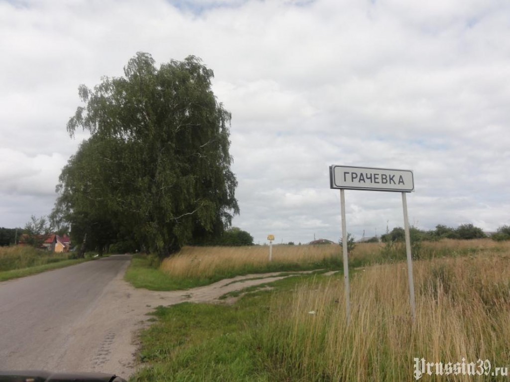 Село грачевское. Село Грачевка Оренбургской области. Грачевка Калининградская область. Поселок Грачевка Зеленоградский район. Деревне Грачевка.