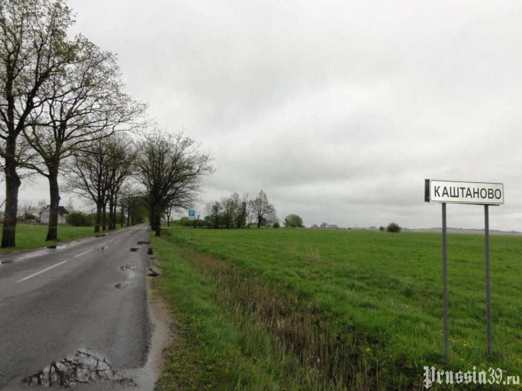 Поселок каштановое. Поселок каштановое. Названия коттеджных поселков в россии. Зеленоградский район, пос. Каштановая 42 муром.