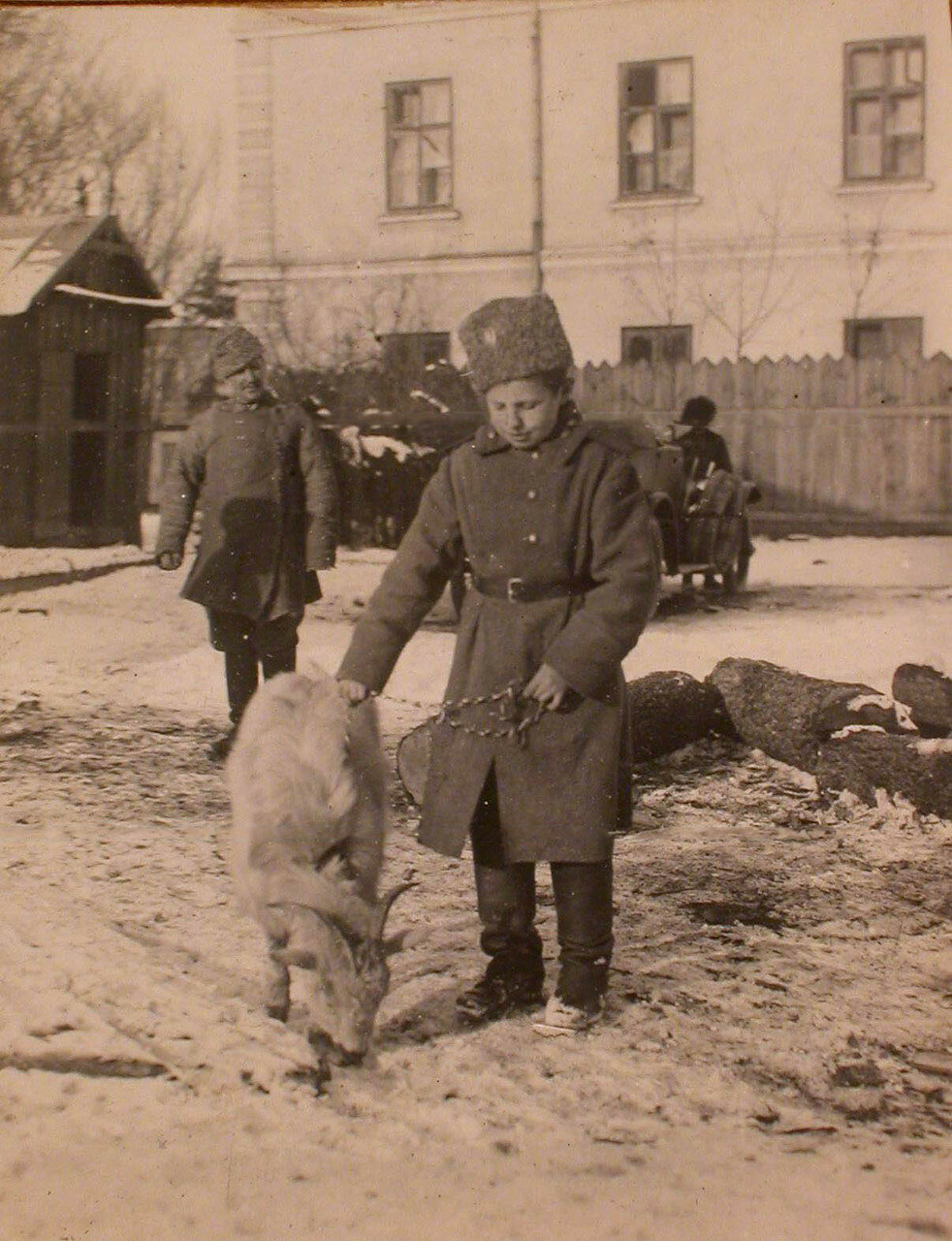 17. Санитар отряда Ванька, с питомцем - козлом Васькой. Галиция, Тарнополь