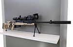 SV-98 sniper rifle at Military-technical forum ARMY-2016 01.jpg