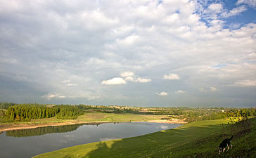 Izborsk Valley. landscapes4.jpg