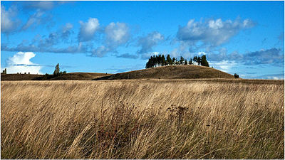 Izborsk Valley. landscapes13.jpg