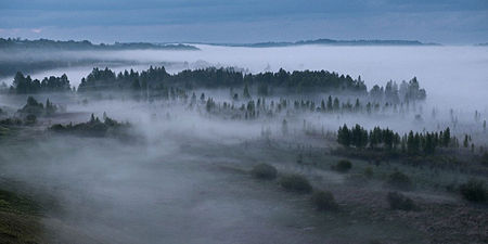 Izborsk Valley. landscapes10.Fog.jpg