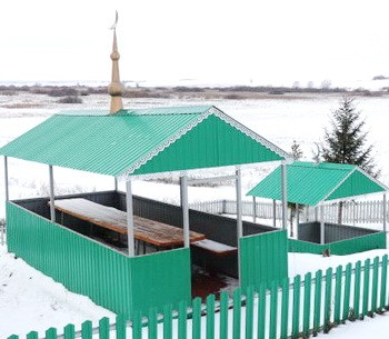 родник село Новое Камкино