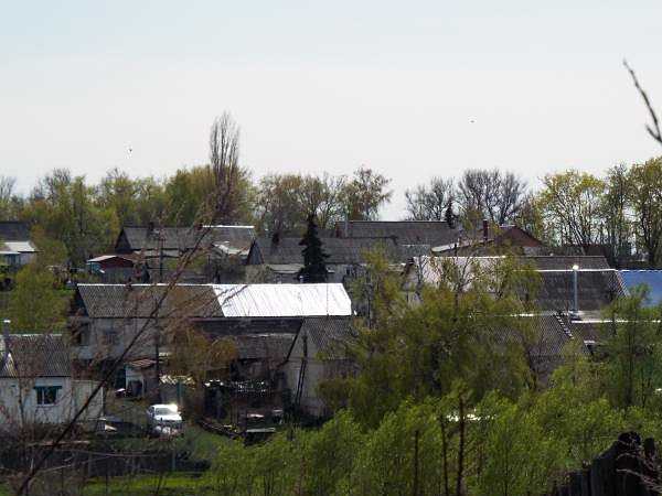 Село 1-Михайловка Панинского района