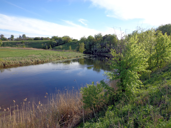 село Березовка Аннинского района