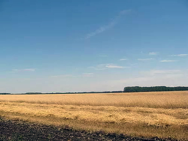 село Сабуровка Аннинского района