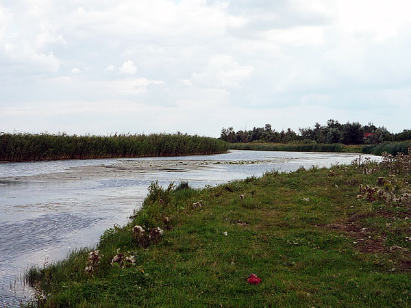 Село Старая Тойда Аннинского района