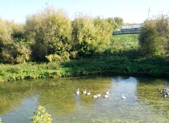 село Старые Бугады