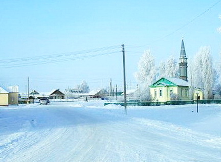 Вид на мечеть село Каратун